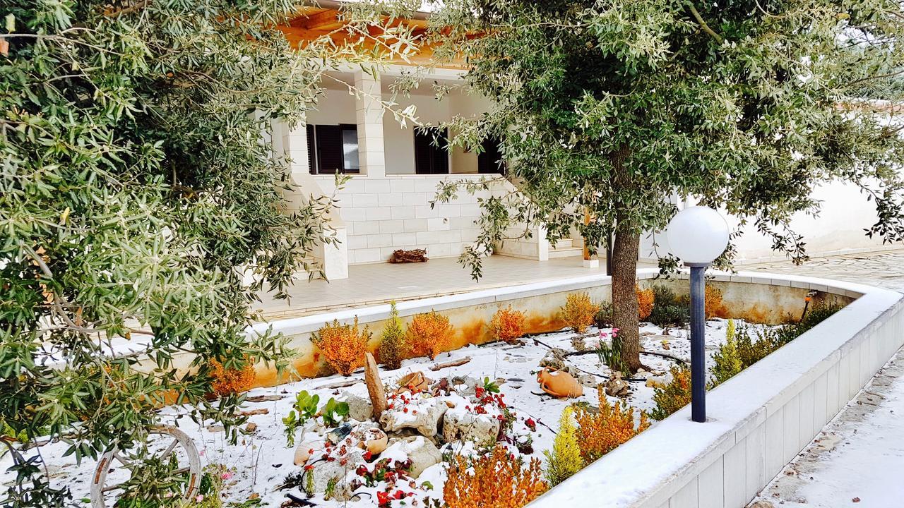 Villa Wonder Αλμπερομπέλο Εξωτερικό φωτογραφία