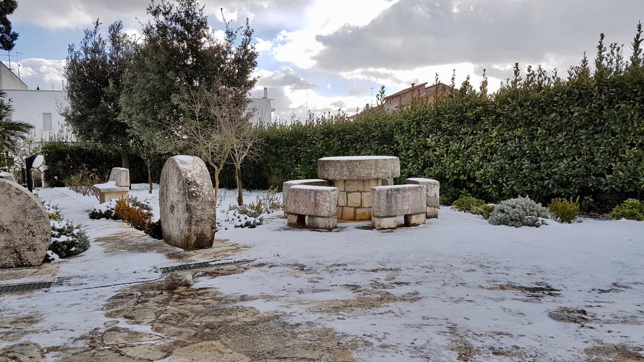 Villa Wonder Αλμπερομπέλο Εξωτερικό φωτογραφία